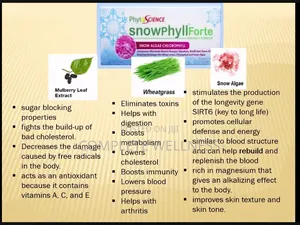 Snowphyllforte for Cleansing