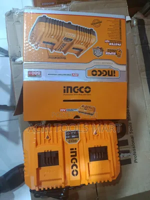 Ingco P20s Dual Fast Battery Charger Fcli2034
