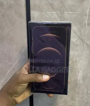 New Apple iPhone 12 Pro Max 128 GB Gold