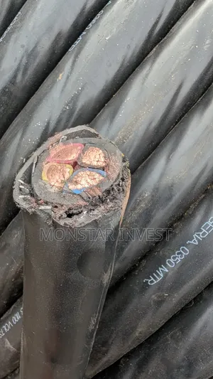 Armored Cable 4core Niger Chin