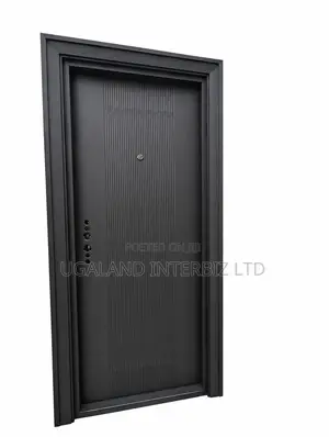Modern Matte Security Door