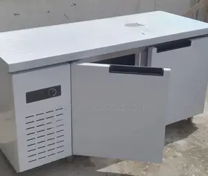2 Doors Under Bar Chiller.