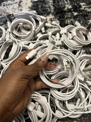 Authentic Type-C to Type-C Google Cable