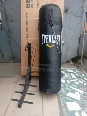 Everlast Punching Bag With Hanger