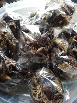 Fresh Dry Seafood In Agbowo Ui Ibadan Catfish, Bonga, Crayfish, Prawns