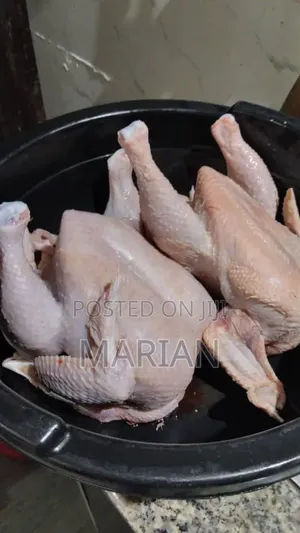 Dressed Chicken Is Available