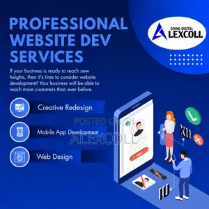 Professional Website Designer