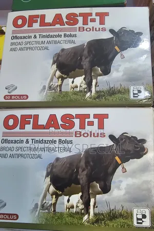 Oflast=T Bolus