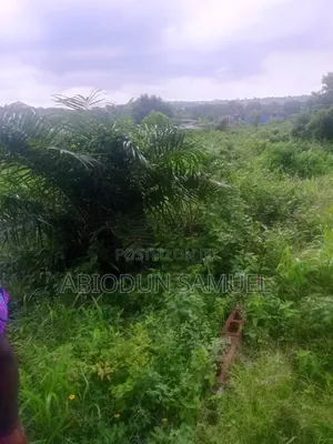 One Acre of Land for Sale