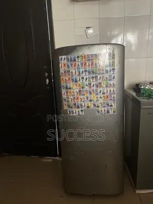 Samsung Fridge