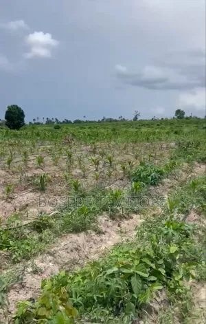 1 Acre for Sale in Ido-Eruwa Axis, Ibadan