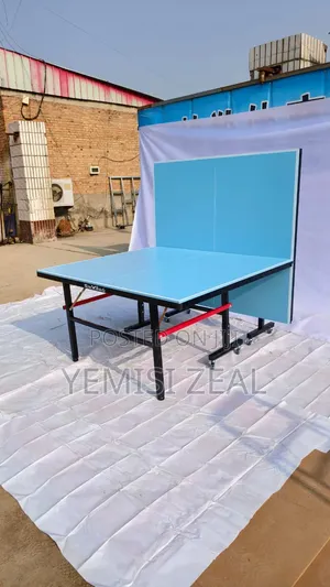 Outdoor Butterfly Table Tennis Board With Double Accessories