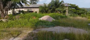 25 Plots for Sale