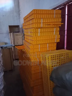 Birds Transport Crete