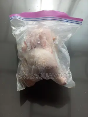 Live Chicken/Frozen