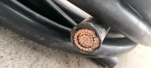 300mm Single PVC PVC Armoured Cable