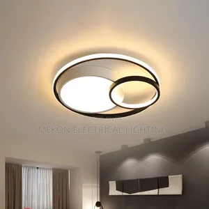 Modern Ceiling Light 3