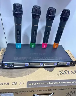 Dvon 4in1 Professional Microphone