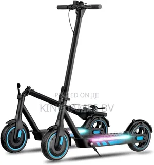 Maxi Electric Scooter