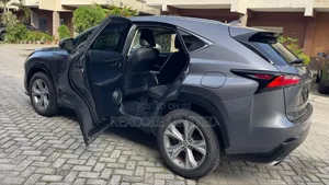 Lexus NX 200t AWD 2017 Gray
