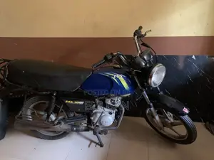 TVS HLX Plus ES 2023 Blue