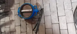10inches Butterfly Valve