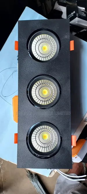 Led Spotlight Double