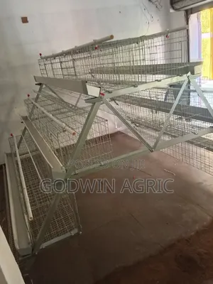 Chicken Cage