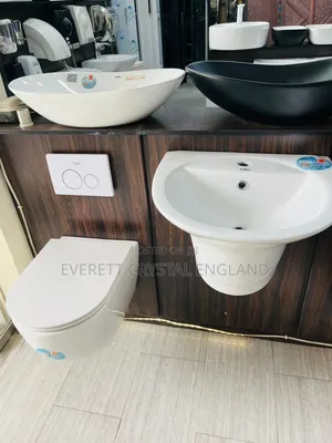 Executive Conceal With Basin