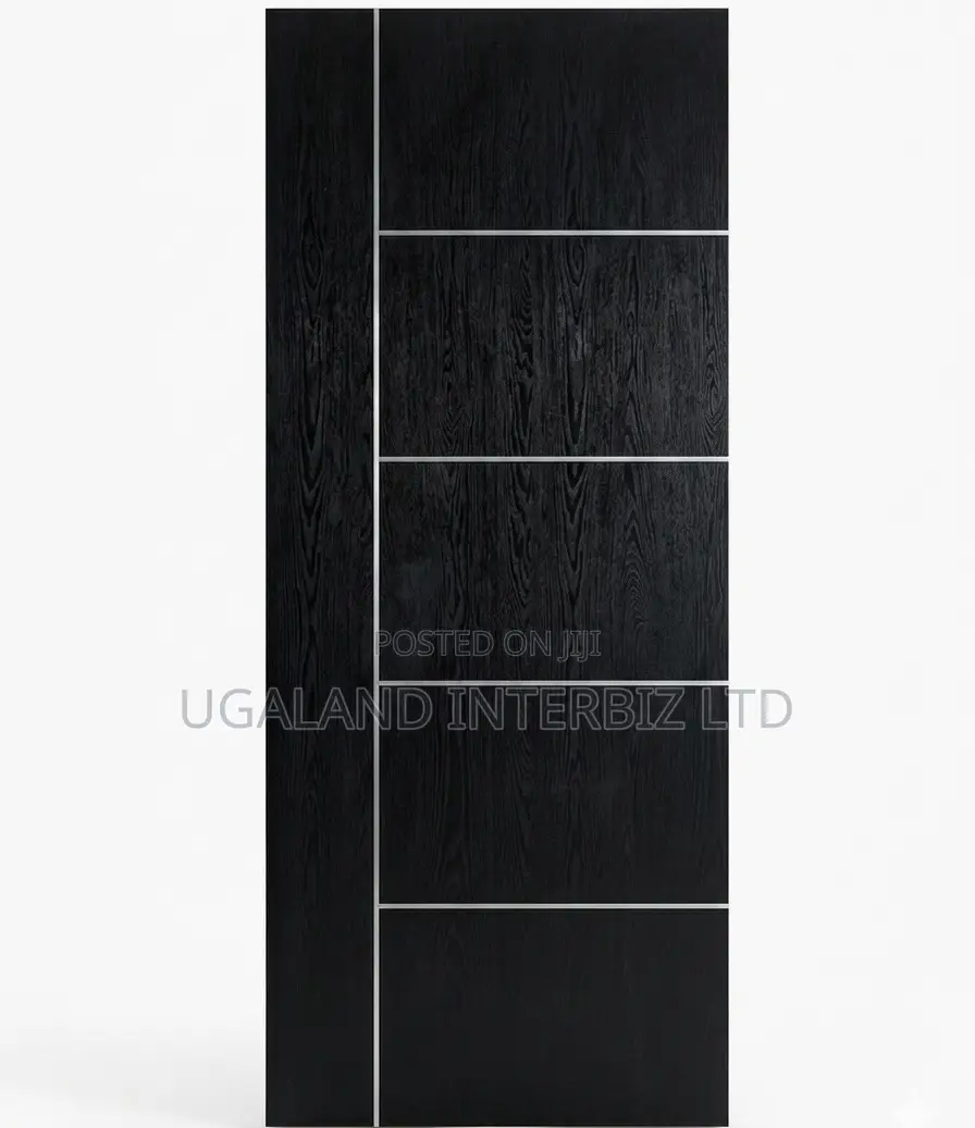 Matte Black Interior Door