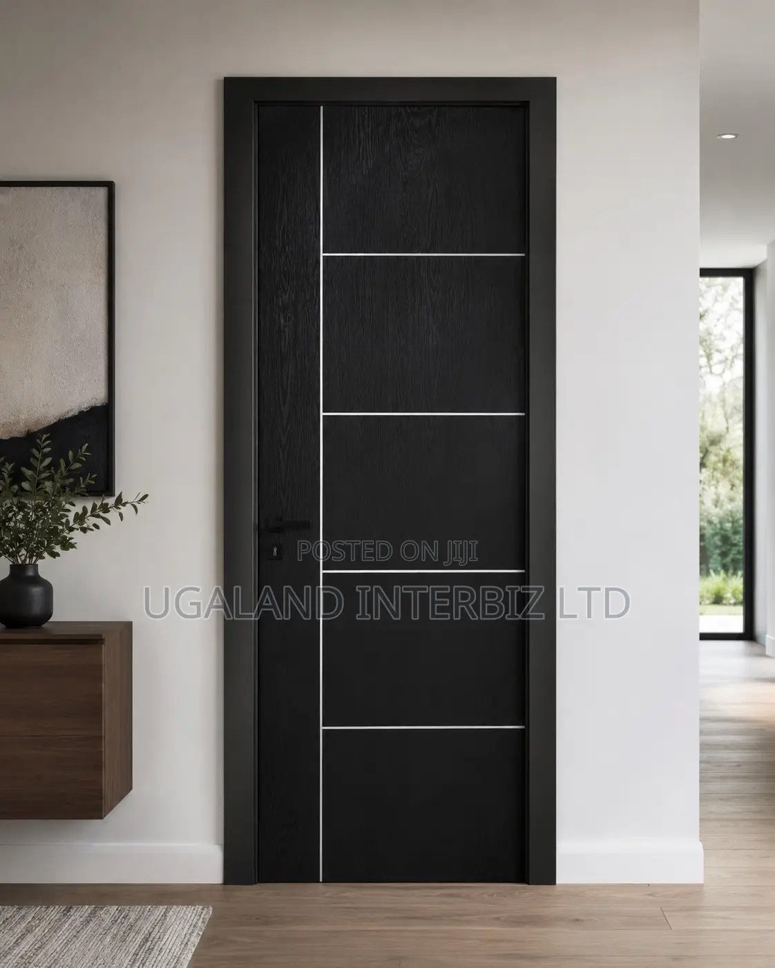 Matte Black Interior Door