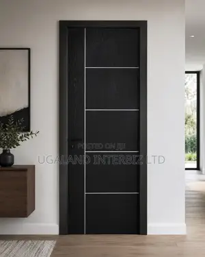 Matte Black Interior Door