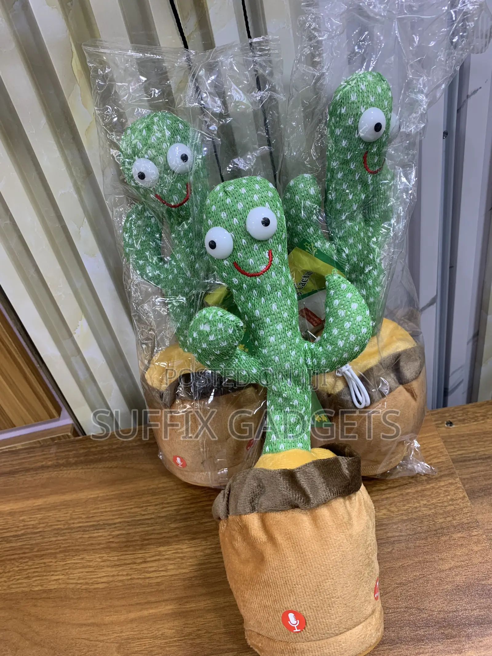 Dancing Cactus