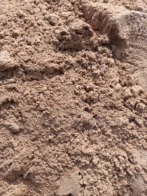 Spent Grain