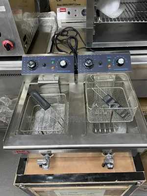 Electric Fryer