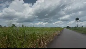 Land for Sale in Ogoni - Scholar’S Haven Estate, Koroma Tai Ogoni.