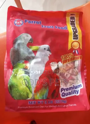 Parrots Food