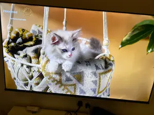 Hisense E7 Qled Smart Tv