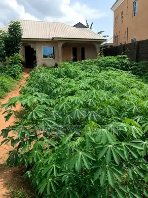 *Property for Sale*