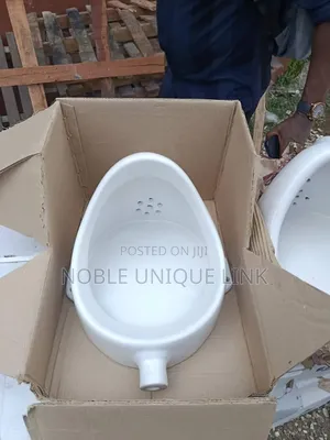 Urinal Basin