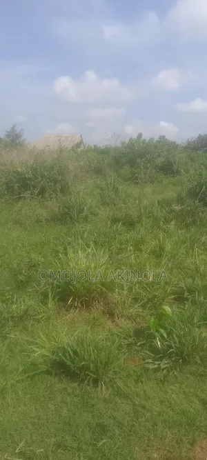 Half Plot Of Land