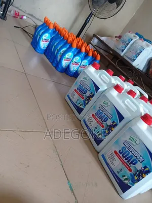 Household Chemicals