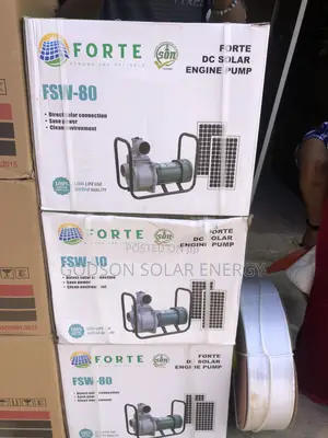 Forte Dc Solar Engine Pump
