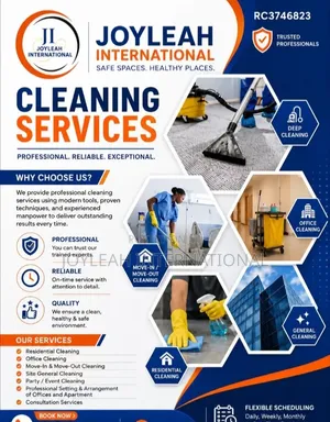 Professional Cleaning Service