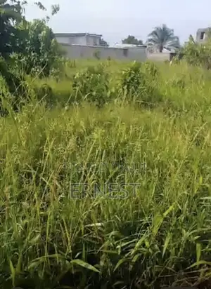 Landed Property