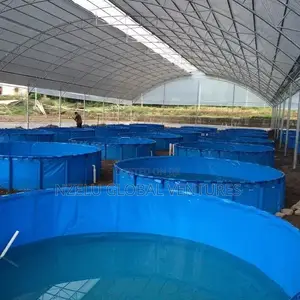 Custom Fish Pond Tarpaulin