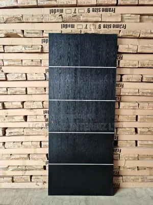 Modern Black Interior Door