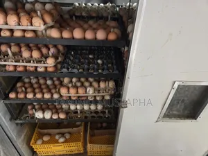Hatchery Service