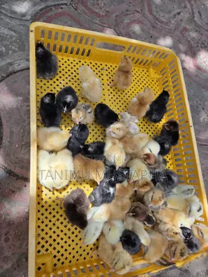 Hatchery Service