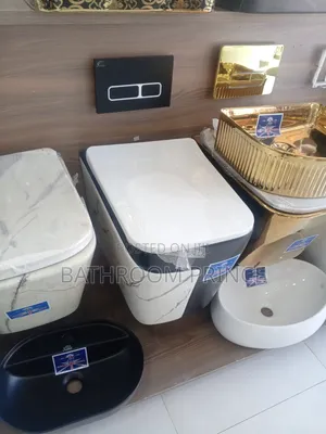 Luxury Black and White Conceal Water Closet